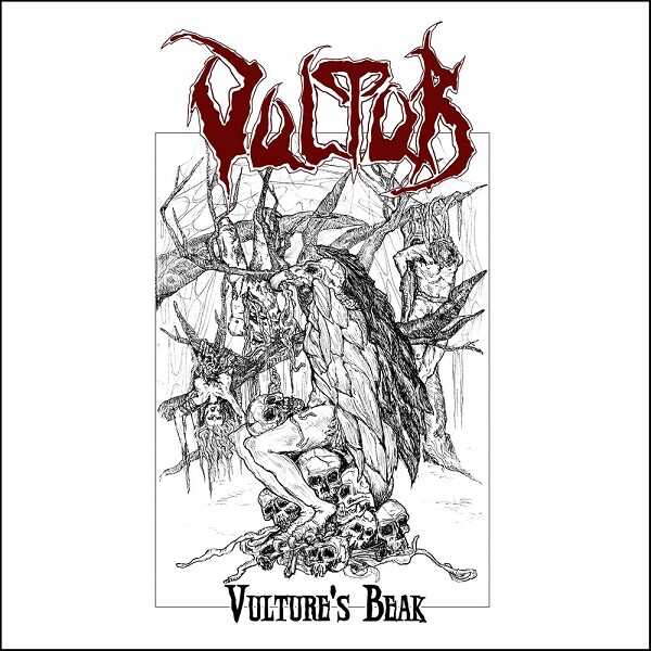 VULTUR - Vulture’s Beak MCD